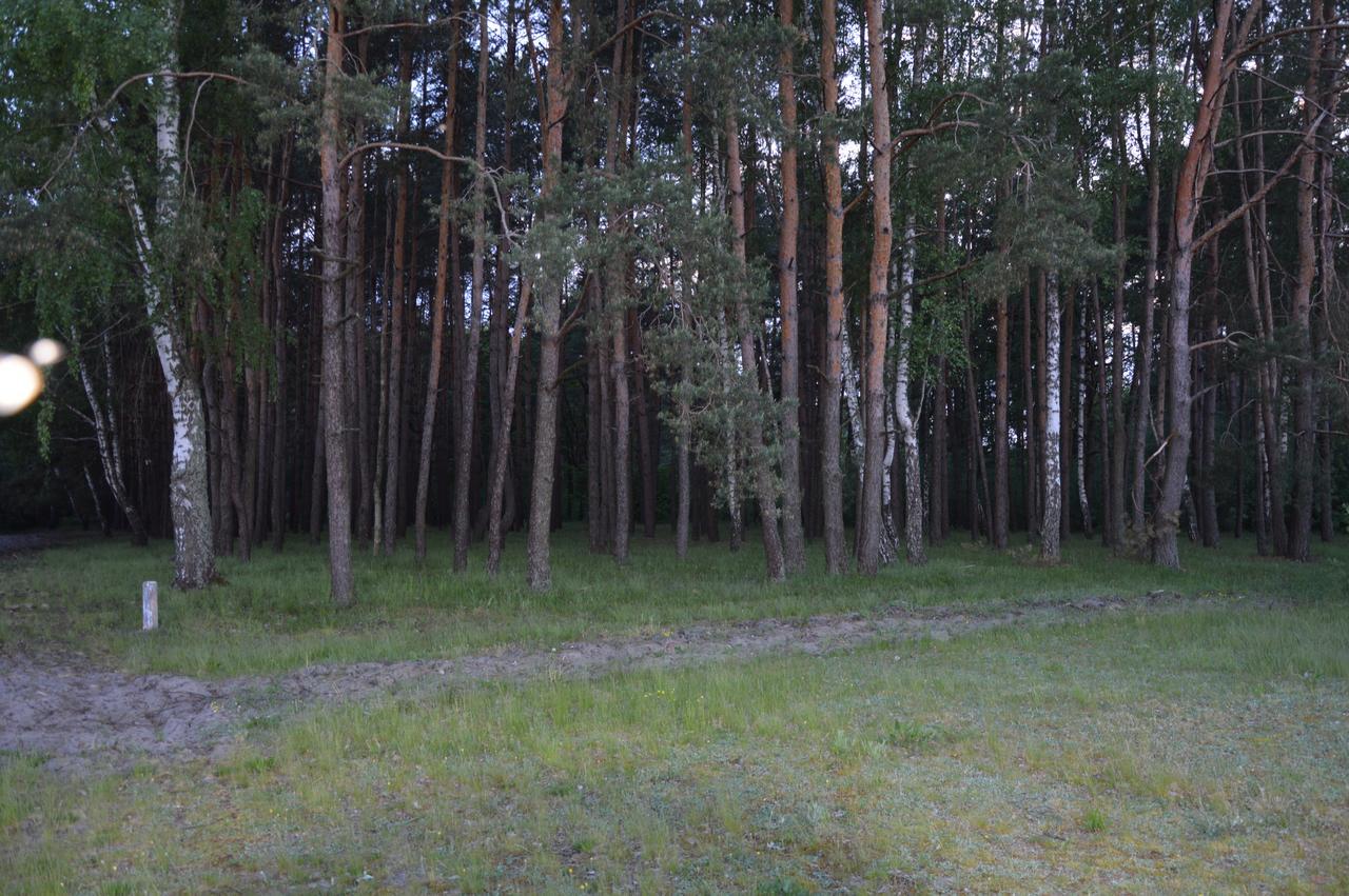 Pulemchanka Pulemec Kültér fotó